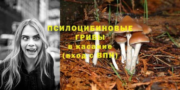 ECSTASY Вязники