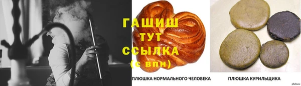 стаф Балахна