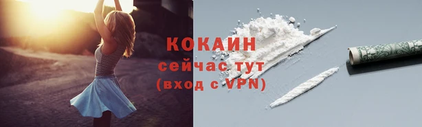 стаф Балахна