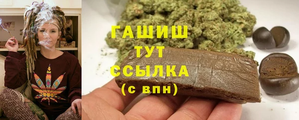 стаф Балахна
