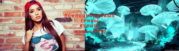 PSILOCYBIN Баксан